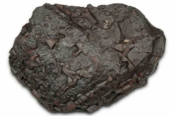 Dragon Scale Stone (Iron, Manganese, Siderite Nodule) #330329